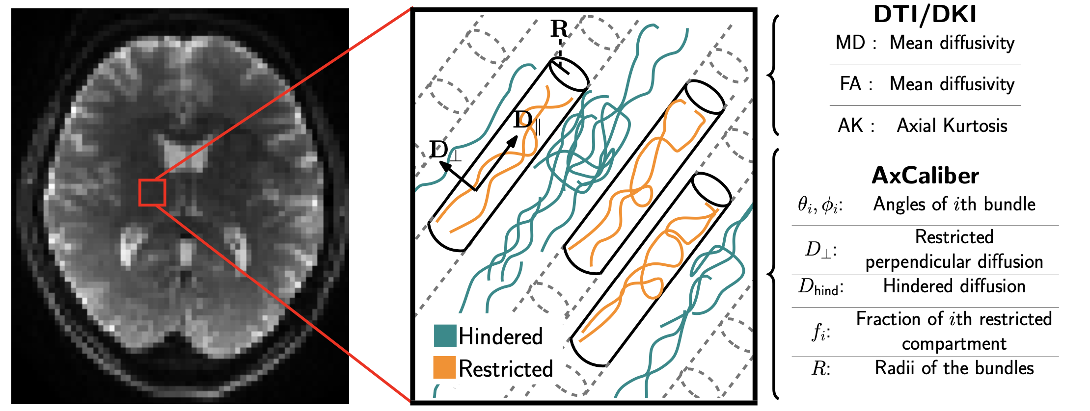 Imaging Neuroscience